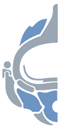 MCS-logo-tint